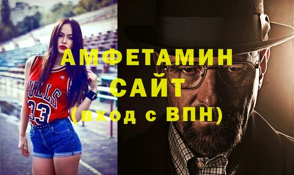 индика Дмитровск