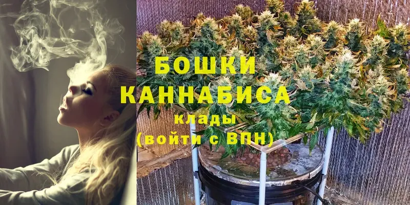 купить   Россошь  МАРИХУАНА план 